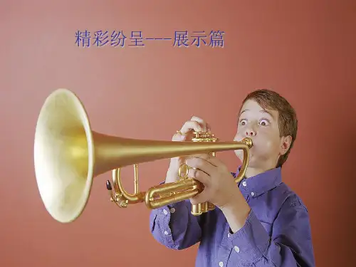 大象版科学六年级上册 第三单元《3 精彩纷呈—展示篇》课件2