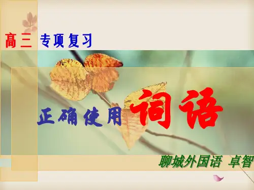 2020届高考语文总复习——正确使用词语 课件(共42张)