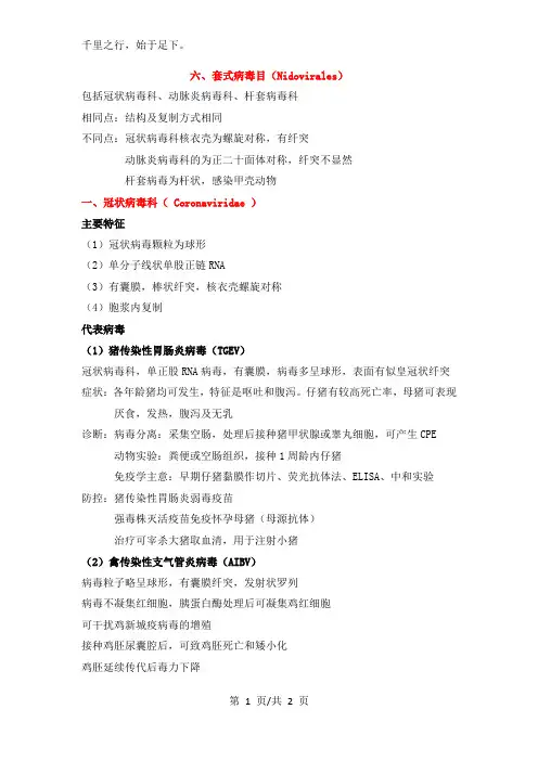 6 套式病毒目(正单股RNA)