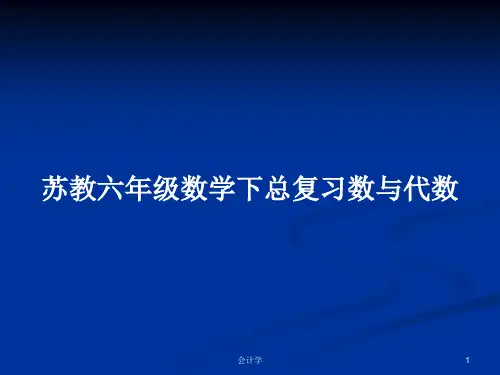 苏教六年级数学下总复习数与代数PPT学习教案