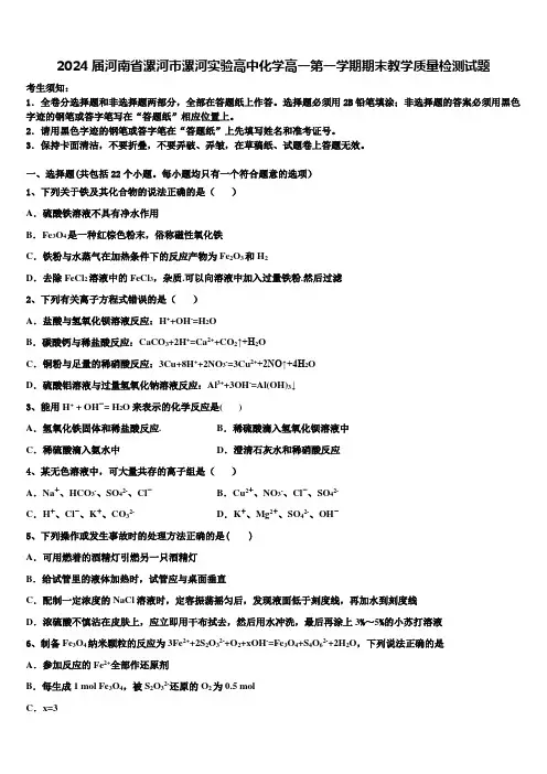 2024届河南省漯河市漯河实验高中化学高一第一学期期末教学质量检测试题含解析