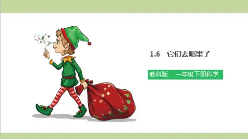 (新教材)教科版一年级下册科学 1.6 它们去哪里了 教学课件PPT