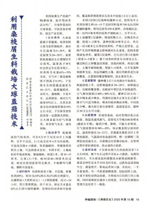 利用桑枝屑生料栽培大球盖菇技术