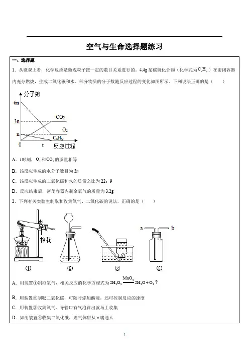 空气与生命选择题练习