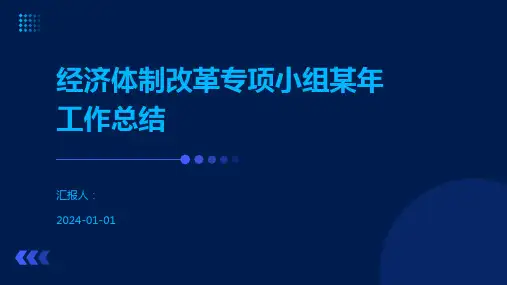 经济体制改革专项小组某年工作总结
