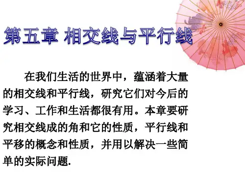 人教版七年级数学下册：5.1.1相交线课件(共16张PPT)