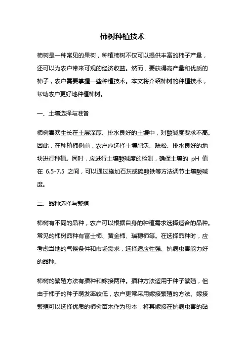 柿树种植技术