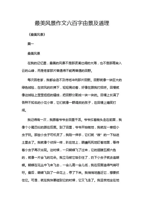最美风景作文六百字由景及道理