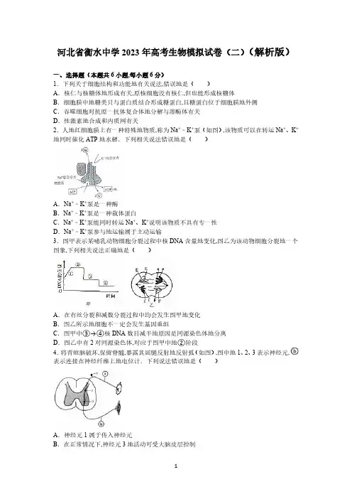 河北省衡水中学2023年高考生物模拟试卷(二)(解析版)