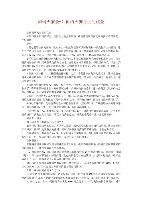 如何灭猫蚤-如何消灭狗身上的跳蚤