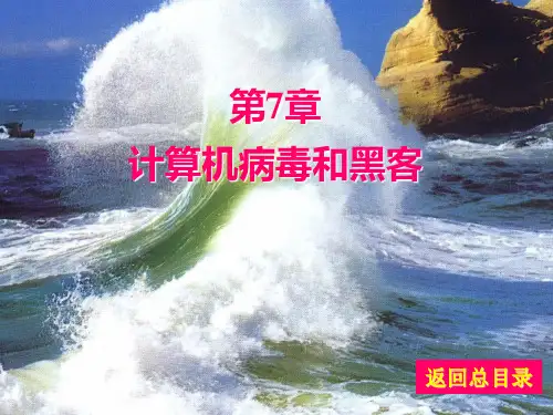 第7章计算机病毒与网络安全PPT课件