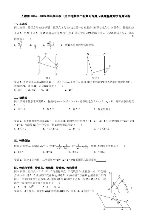 人教版2024—2025学年九年级下册中考数学二轮复习专题压轴题解题方法专题训练