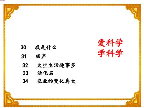人教版小学二年级语文上册第八单元复习精品PPT课件