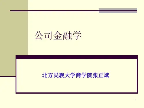 chapter 1 公司金融概论