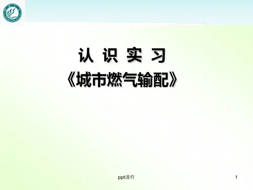 认识实习《城市燃气输配》  ppt课件