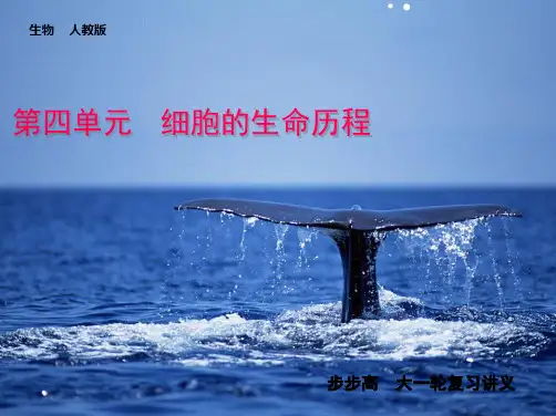 高考生物一轮复习第四单元细胞的生命历程第四单元第讲(共90张PPT)