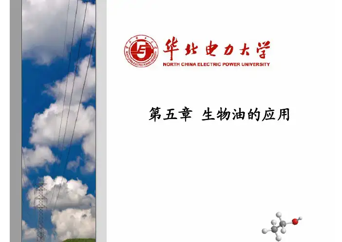 第5章 生物油的应用