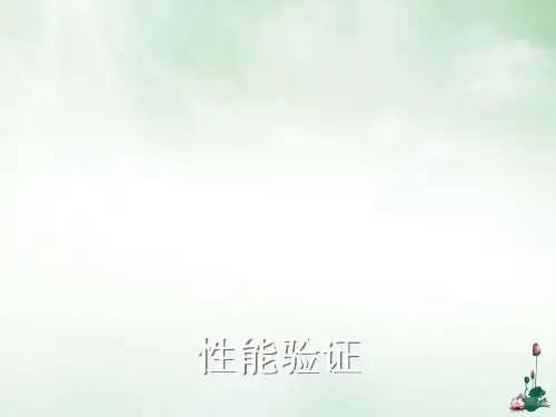 性能验证课件PPT