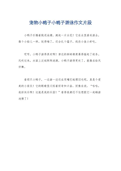 宠物小鸭子小鸭子游泳作文片段