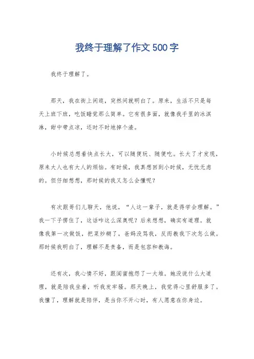 我终于理解了作文500字