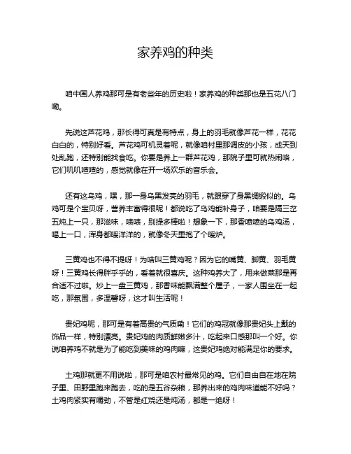 家养鸡的种类