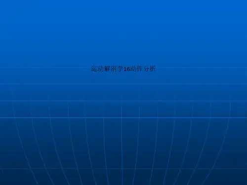 运动解剖学16动作分析