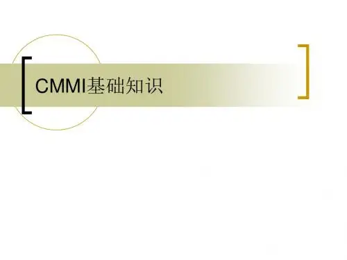 CMMI基础绍介