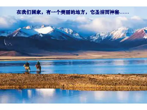 《离太阳最近的树》