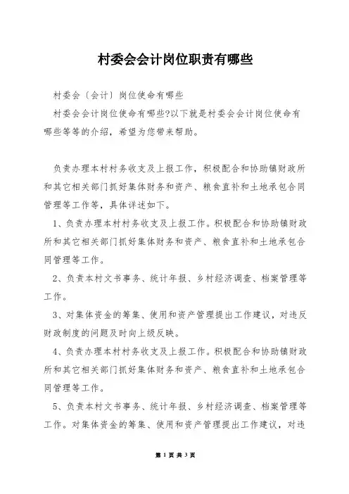 村委会会计岗位职责有哪些