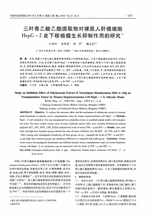 三叶青乙酸乙酯提取物对裸鼠人肝癌细胞HepG-2皮下移植瘤生长抑制作用的研究