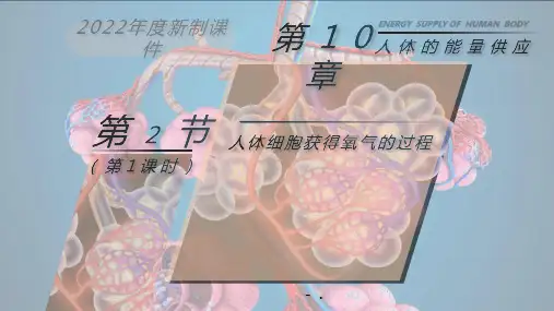 《人体细胞获得氧气的过程》PPT课件(第1课时)