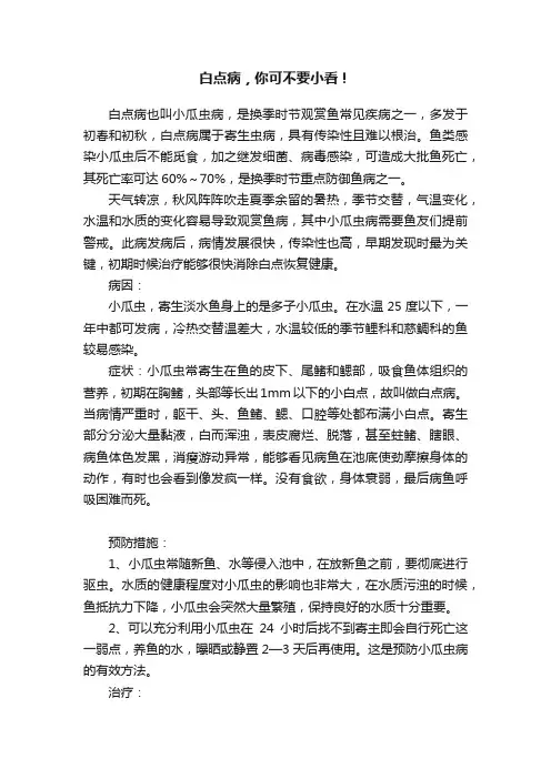 白点病，你可不要小看！