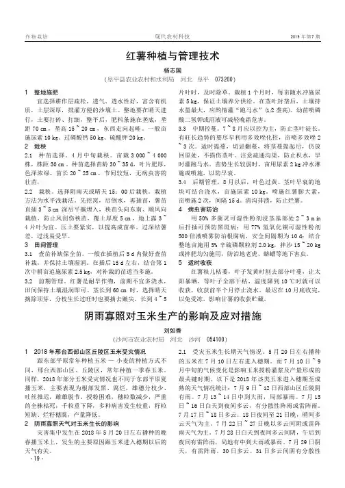 红薯种植与管理技术
