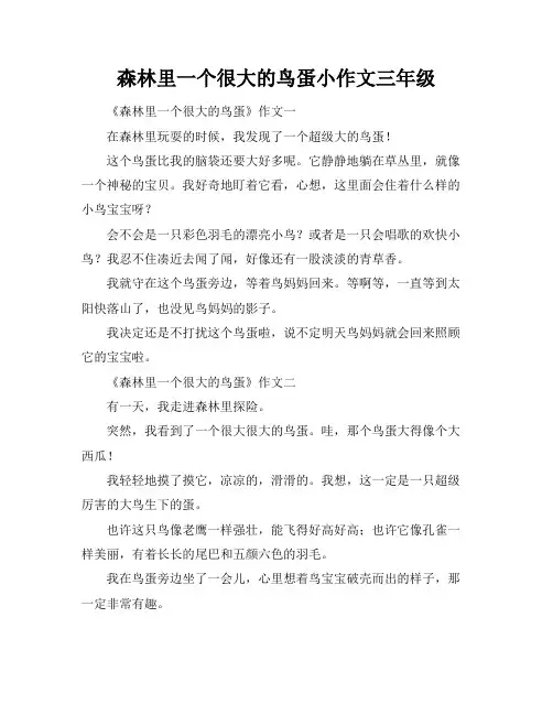 森林里一个很大的鸟蛋小作文三年级