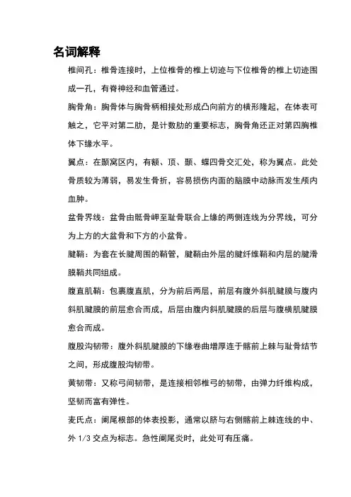 正常人体解剖学名词解释