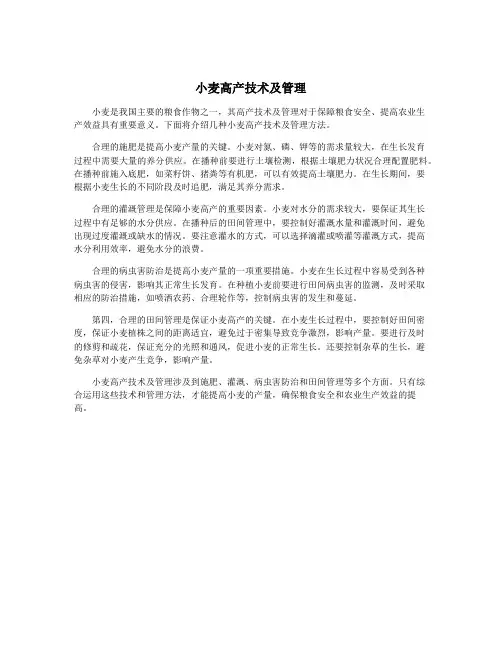 小麦高产技术及管理