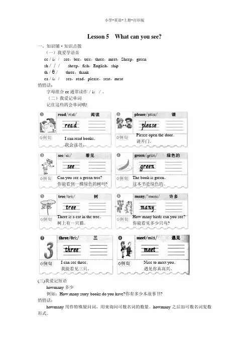 科普版-英语-四年级上册-【高效课堂】4A Lesson 5  What can you see  知识点拨(part1)