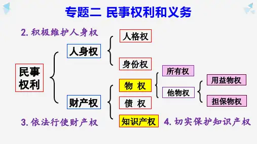 高中政治人教版选修五生活中的法律常识专题2.4切实保护知识产权(共40张PPT)