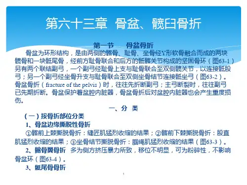 骨外科教学课件：第六十三章  骨盆、髋臼骨折