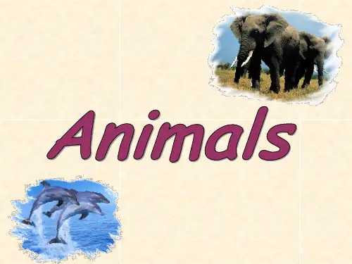 小学英语 wild animals 精品课件