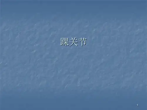 MR踝关节ppt课件
