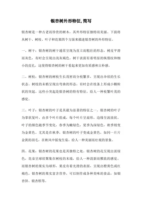 银杏树外形特征,简写 2