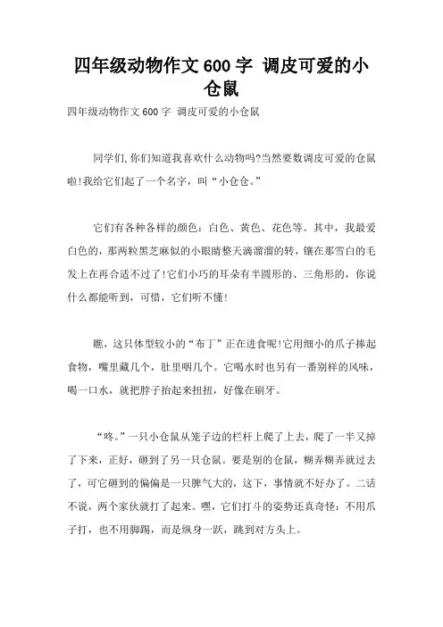 四年级动物作文600字 调皮可爱的小仓鼠