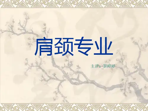 肩颈专业知识ppt课件