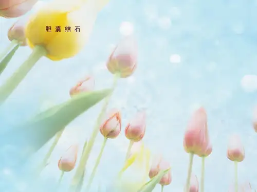 胆囊结石ppt课件