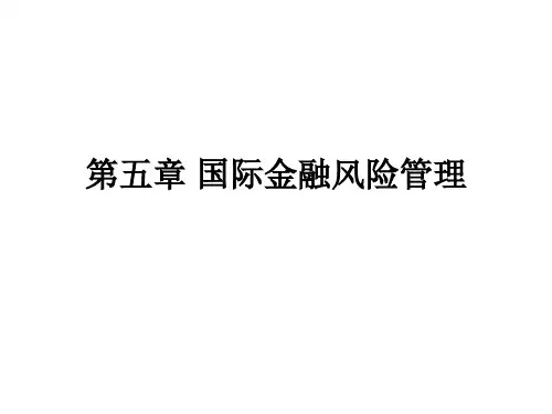 第五章 国际金融风险管理.
