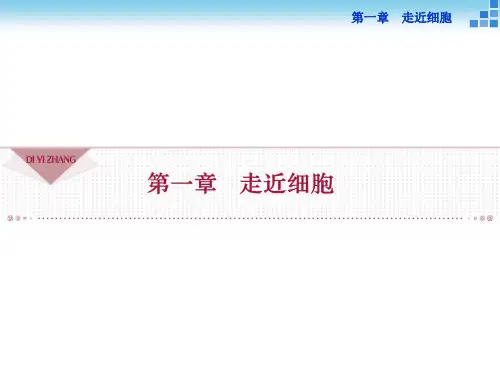 人教版高中生物必修一课件：第一章 走近细胞（共3份打包）
