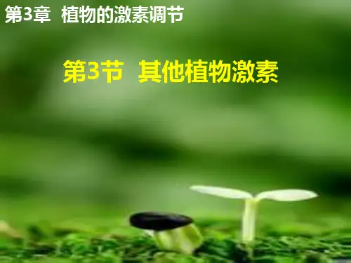 人教版高中生物必修三其他植物激素课件