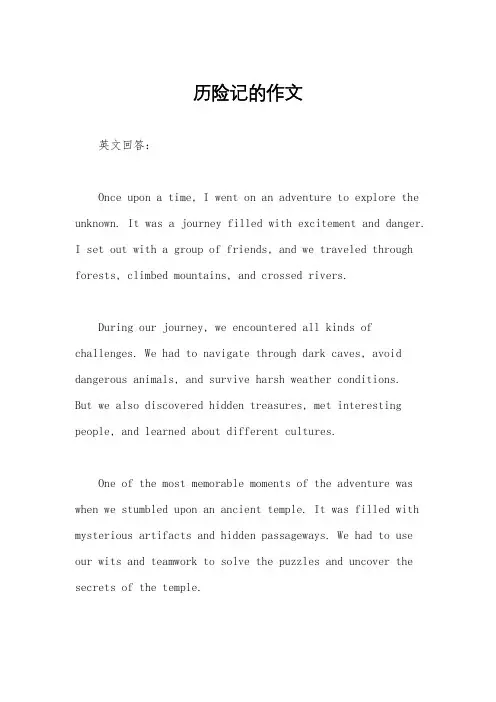 历险记的作文