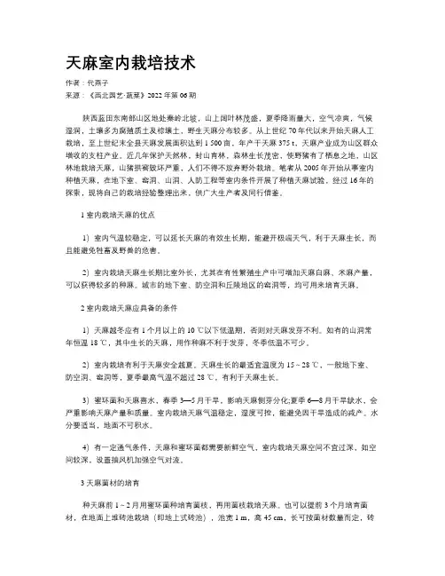 天麻室内栽培技术
